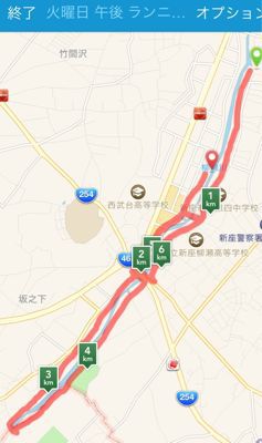 大みそか(午後)ランニング 103 ＆ 今月のランニング記録♪_b0203925_2327228.jpg