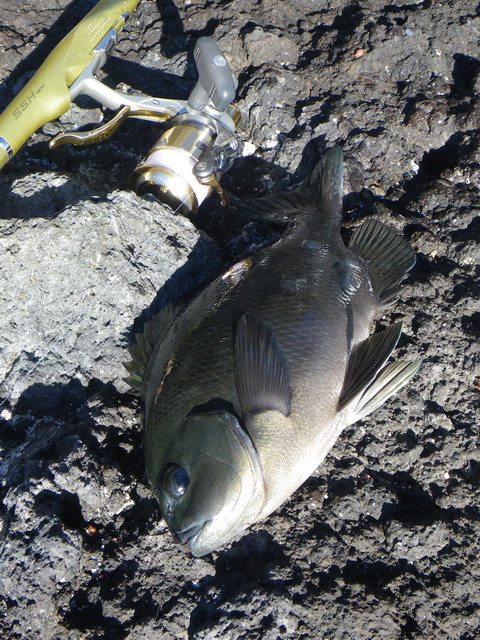 c0202727_21565150.jpg