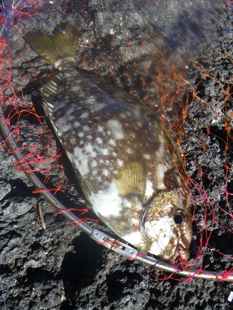 c0202727_2159228.jpg
