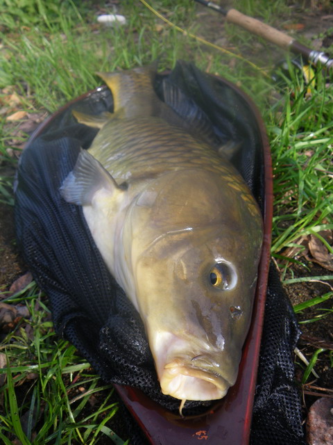 c0202727_22114160.jpg