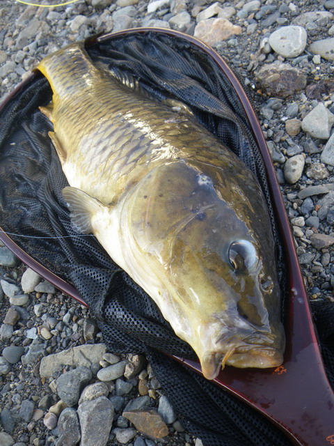 c0202727_2214492.jpg