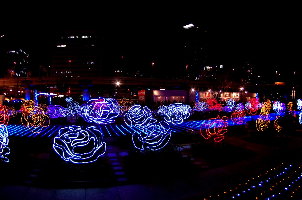 c0106831_12469.jpg