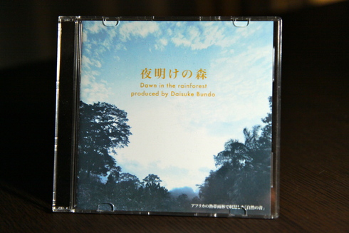 2013 > 2014 (Listening to \"Dawn in the rainforest\")_d0010432_2247898.jpg