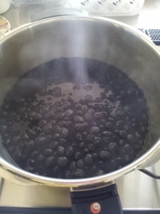 黒豆_a0059035_00525517.jpg