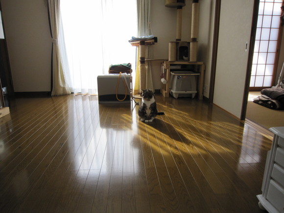 e0232236_1565695.jpg