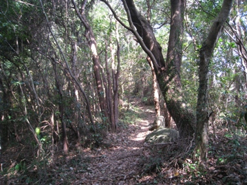 c0077338_636383.jpg