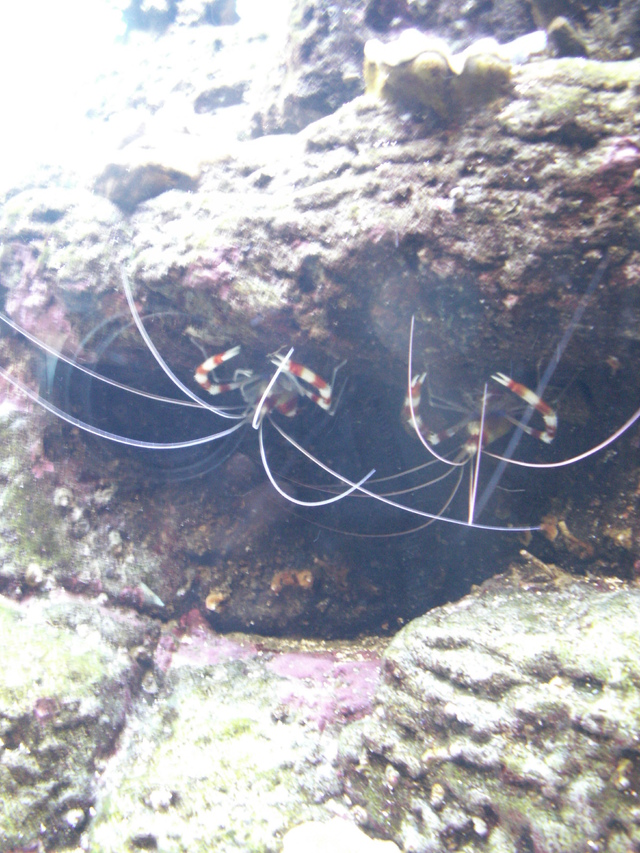 b0139239_16472476.jpg