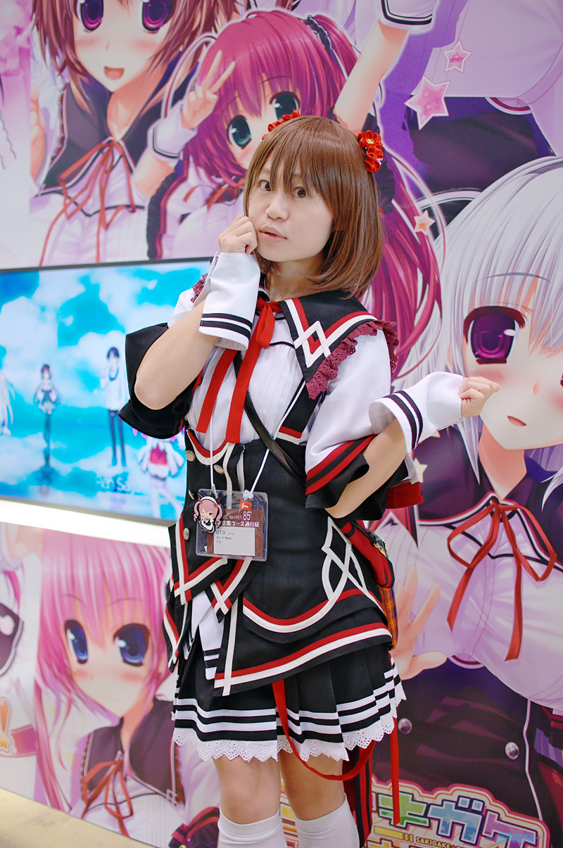 ■2013/12/31 ビッグサイト(Tokyo Big Sight)　コミケ３日目 （C85） _f0130741_20553044.jpg