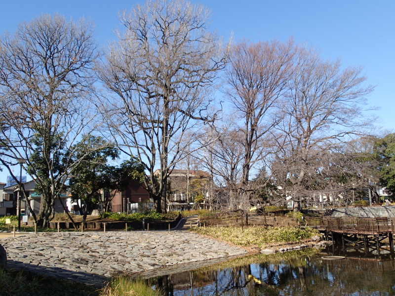 b0190242_10292032.jpg