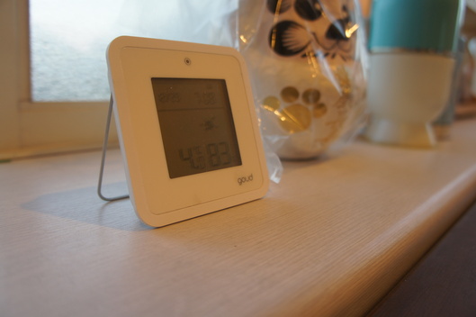 よいお年を_f0128542_21394523.jpg