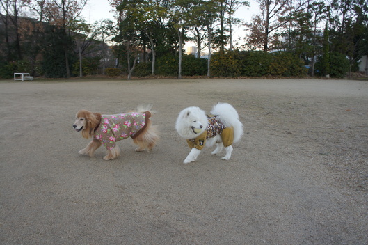 よいお年を_f0128542_21414632.jpg