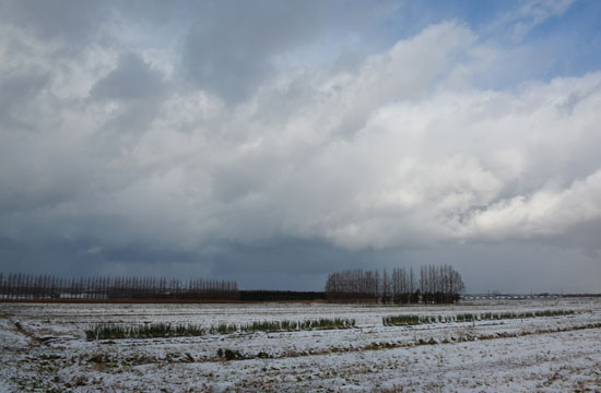 c0093046_11532510.jpg