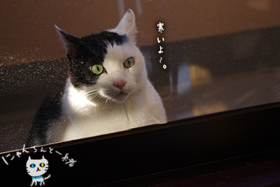 どっちかな?_e0031853_201751.jpg