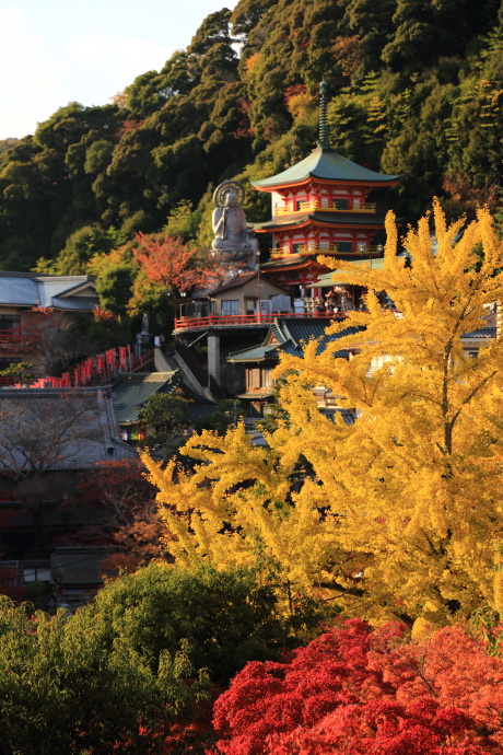 朝護孫子寺 紅葉 2013 その2_a0176855_2120521.jpg