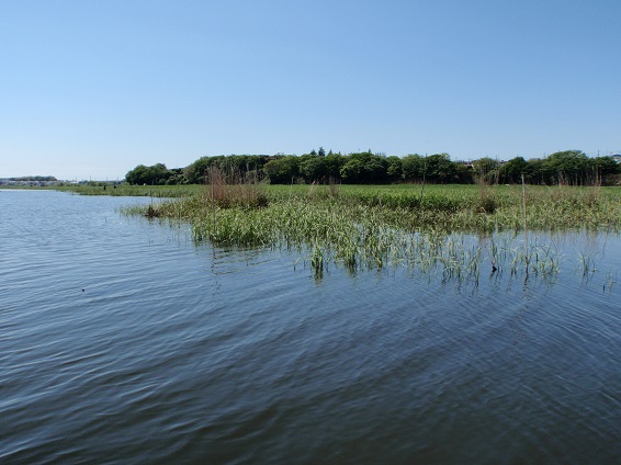 2013　Bass Fishing　CLIMAX_a0229462_9421581.jpg