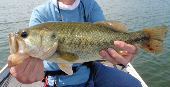 2013　Bass Fishing　CLIMAX_a0229462_9571864.jpg