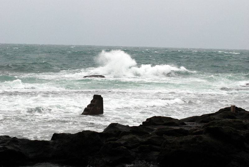 c0087867_20503437.jpg