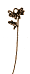 f0199868_12584225.gif