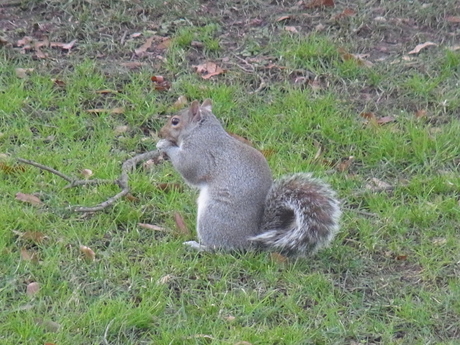 a0222070_22492980.jpg