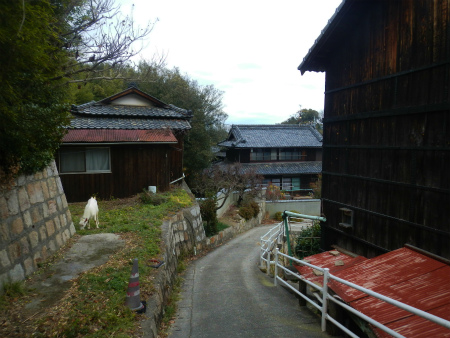 b0056570_1563728.jpg