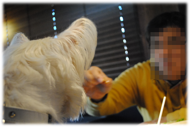 b0242873_235421.png