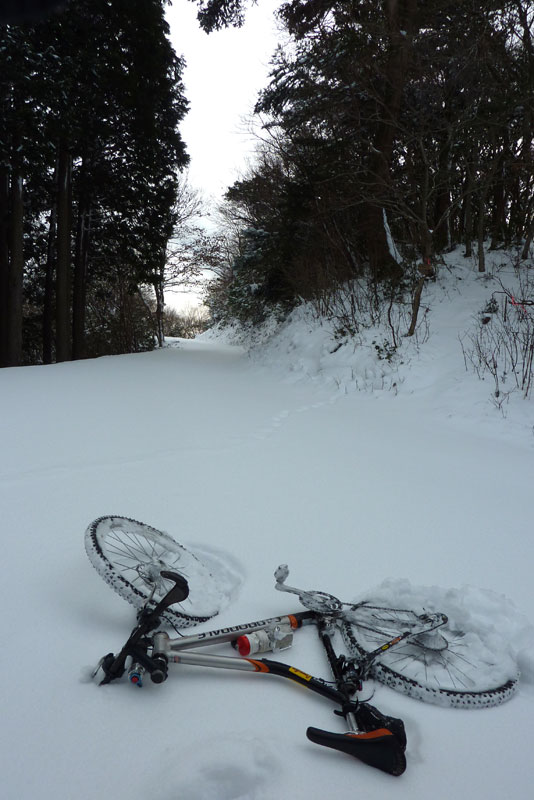 今年も終わりです。。。。。_c0107075_201034.jpg