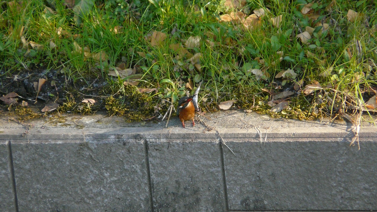 a0185081_15444633.jpg