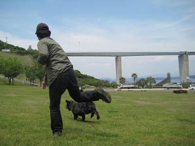 2013の思い出 _d0195183_20394891.jpg