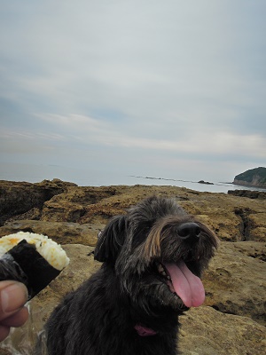 2013の思い出 _d0195183_20434746.jpg