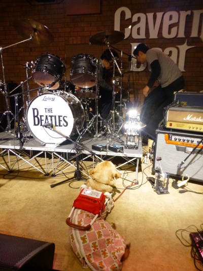 2013年・カラフル年末ライブ初日のライブレポpart1★_e0188087_6291353.jpg