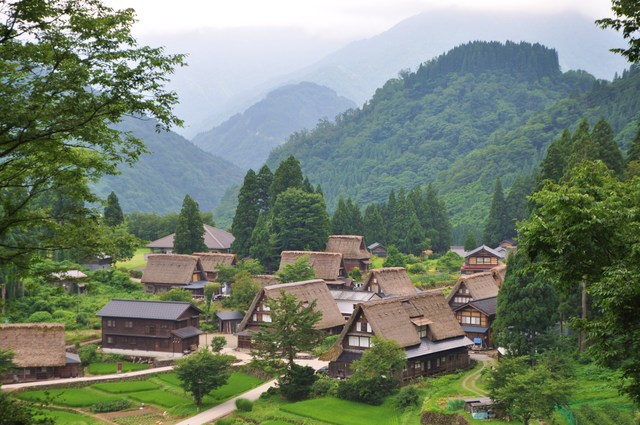 かぼす家2013年10大ニュース_a0126590_21484283.jpg