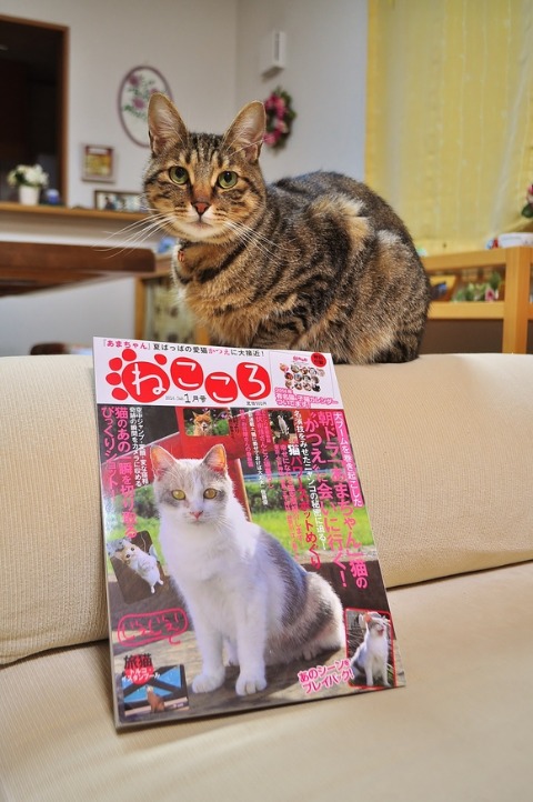 かぼす家2013年10大ニュース_a0126590_2157145.jpg
