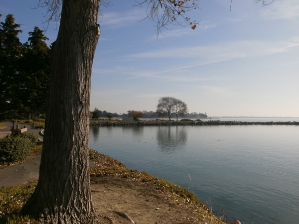 d0000995_10135331.jpg