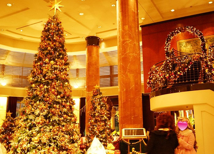 ウェスティンホテル東京のクリスマスイルミネーション_b0145398_2157919.jpg