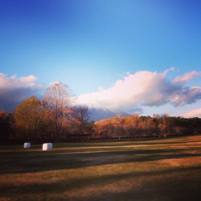 2013_d0166598_14375258.jpg