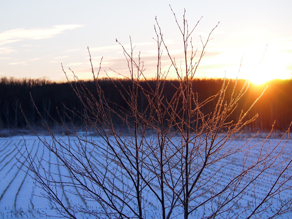 f0276498_16303733.jpg