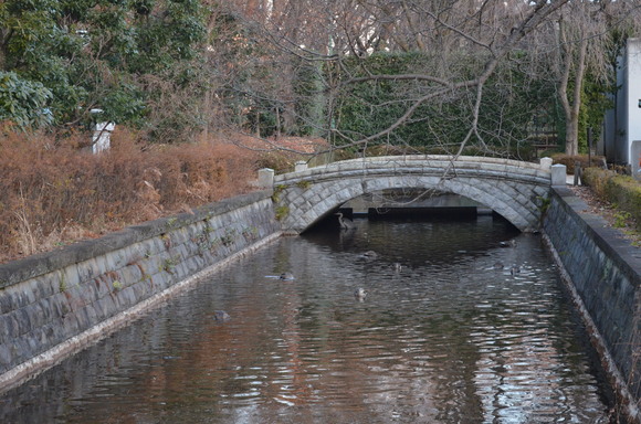 a0288500_14373526.jpg