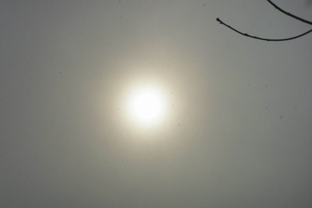 e0137200_1728337.jpg
