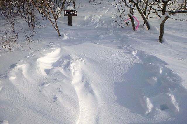 e0137200_17284872.jpg