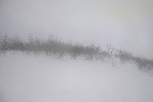 e0137200_17292227.jpg