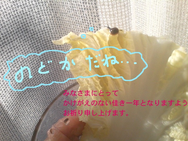 f0024708_9422491.jpg