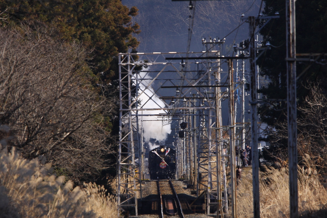 謹賀新年 - 2014年元旦・秩父 - _b0190710_21114795.jpg