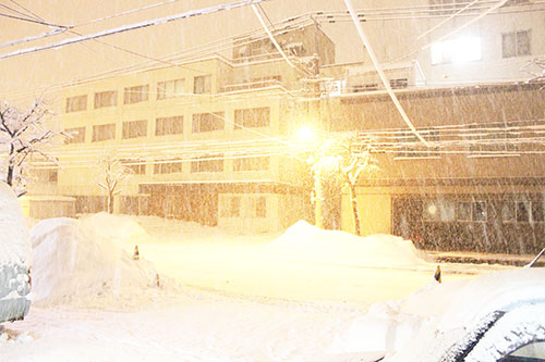 a0139912_23315824.jpg