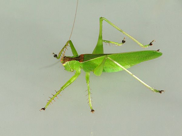 b0033112_0142040.jpg