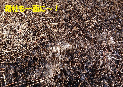 f0121712_0352266.jpg