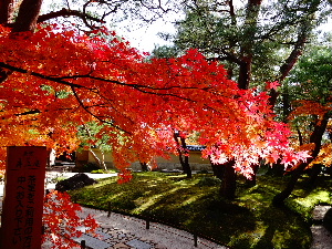 a0157619_17465151.jpg
