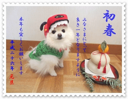 b0167519_1102691.gif