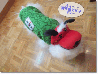 b0167519_195354.gif