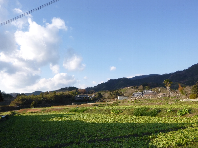 c0113733_0445869.jpg