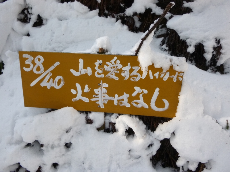 c0113733_127543.jpg